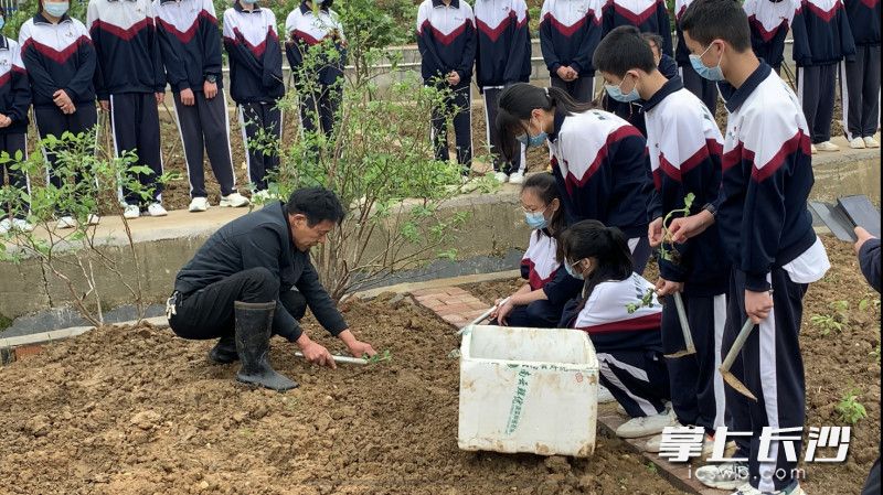 “五老”代表邹德强老师为同学们上“农场耕种第一课”。  长沙晚报实习生 罗杨 摄