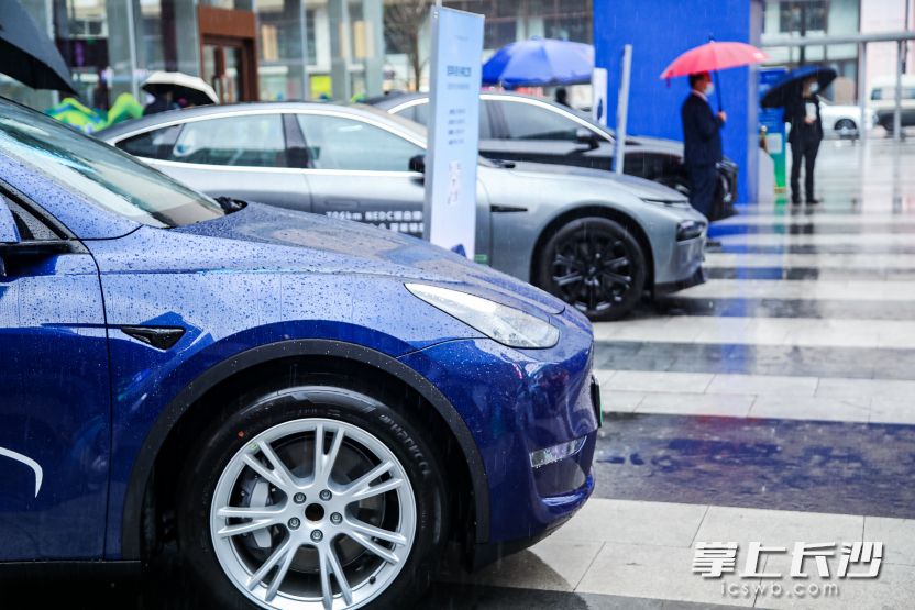 2022长沙市芙蓉区新能源汽车消费节启动。  均为芙蓉区商务局供图