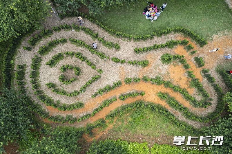 5月1日，市民游客在湖南省植物园内游玩。均为长沙晚报全媒体记者 郭雨滴 摄