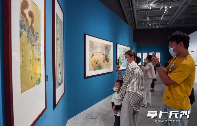 5月7日上午，由湖南省博物馆主办的原创大展“花魂鸟魄——邹传安艺术与文献展”在省博物馆艺术大厅隆重开幕，美术爱好者正在观看展览。均为长沙晚报全媒体记者 邹麟 摄