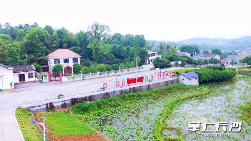 干净整洁的通村公路，精致精美的农家小院，白龙社区村容村貌焕然一新。 通讯员 段华良 供图