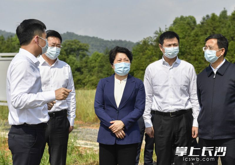 5月16日下午，省委常委、市委书记吴桂英在浏阳市永和镇七宝山硫铁矿庙冲尾矿库检查尾矿库治理工作。均为长沙晚报全媒体记者 余劭劼 摄