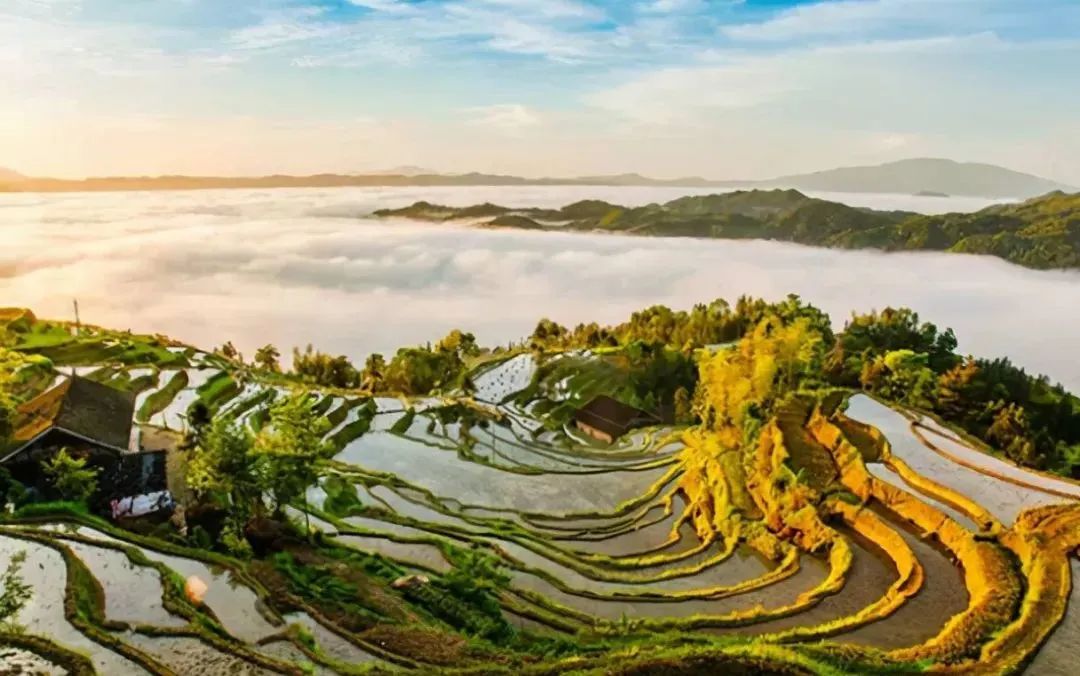 紫鹊界景区