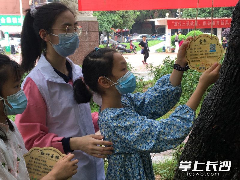 孩子们在志愿者老师的带领下为植物戴上专属“身份证”。