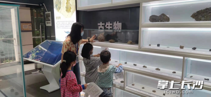 在湖南师范大学地质博物馆，小朋友学习地理相关知识。