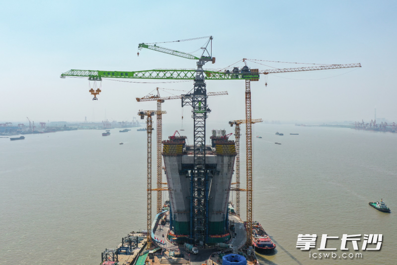 中联重科万吨米级塔机傲立常泰长江大桥施工现场。长沙晚报 通讯员 刘成坤 供图