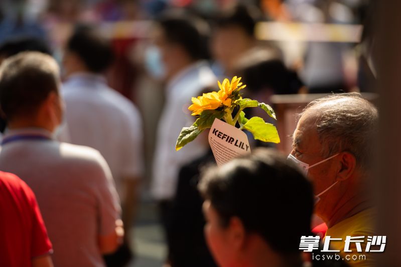 一位家长手捧着向日葵。