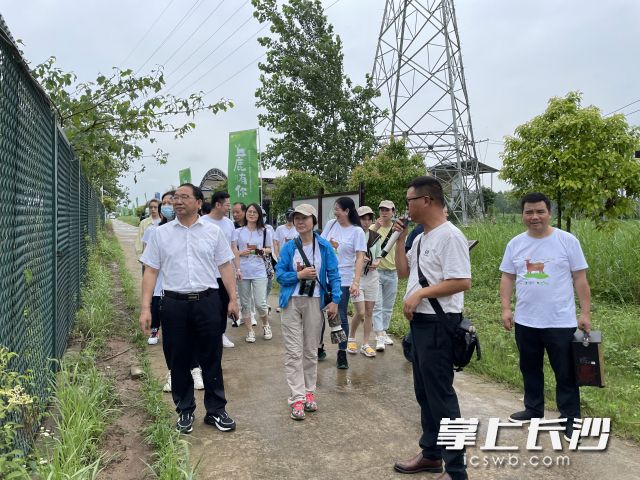 与会来宾在东洞庭湖麋鹿苑内去探访麋鹿的踪迹。