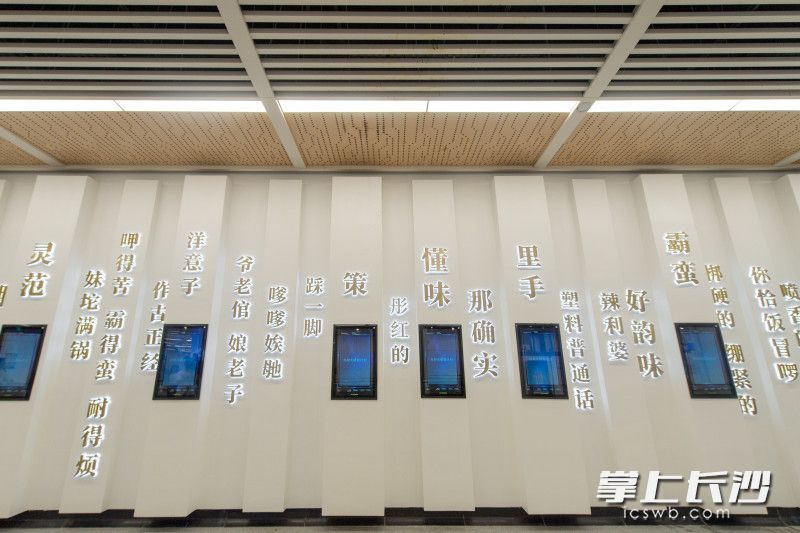 文昌阁站以“趣味长沙”为主题，打造出独具长沙特色的方言文化墙。