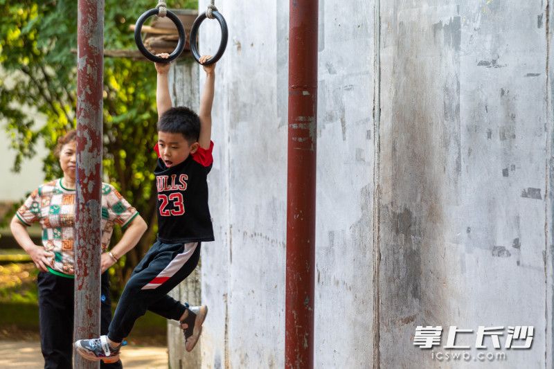 一名小孩在大人的监护下练习吊环。长沙晚报全媒体记者 董阳 摄