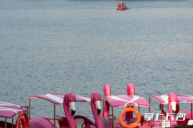 泛舟湖上，随着“健康长沙”的建设，人们的幸福指数也在不断提升。长沙晚报全媒体记者 董阳 摄