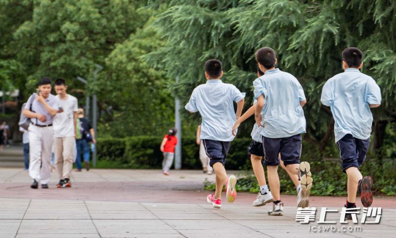 烈士公园内，4位少年正在跑步。长沙晚报全媒体记者 刘晓敏 摄