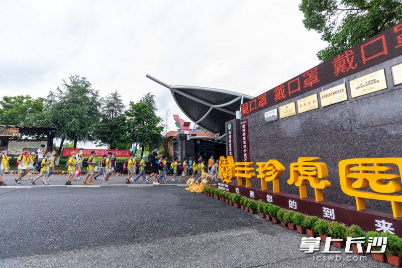 天心区青园中信小学的学生走进三珍虎园开展研学实践活动。 均为长沙晚报全媒体记者董阳摄