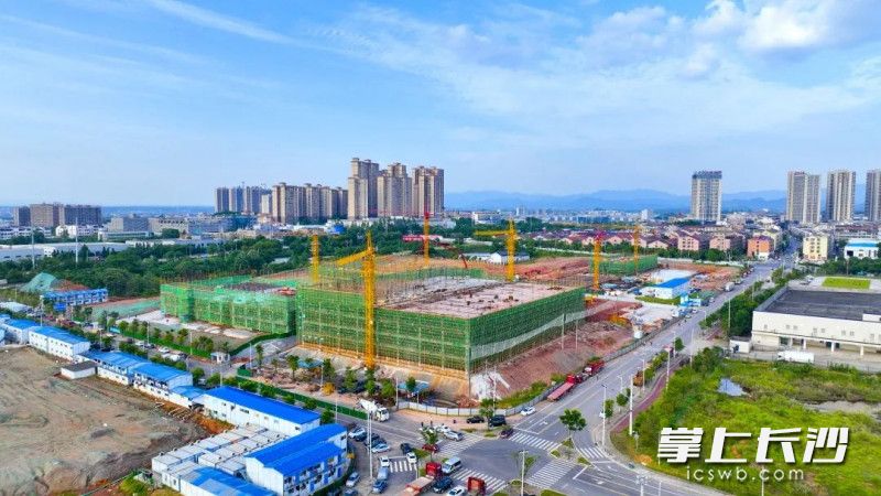 6月15日的九典制药高端制剂研发产业园项目建设现场。均为周媖供图