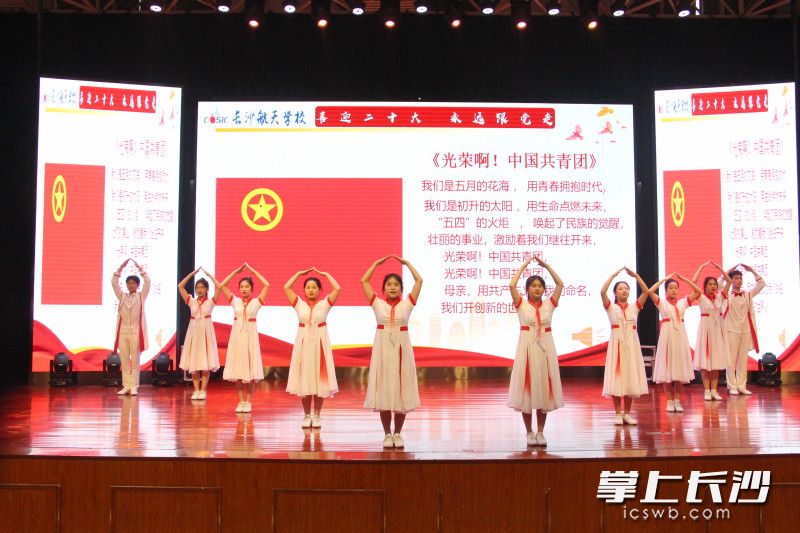 “强国有我”主题团日活动。