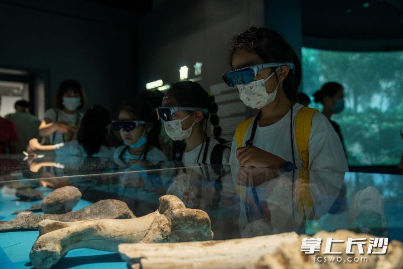 很多观众选择佩戴AR眼镜来沉浸式观展,了解历史。 很多观众选择佩戴AR眼镜来沉浸式观展,了解历史。