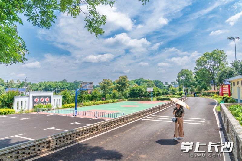 乡村道路两厢干净有序。