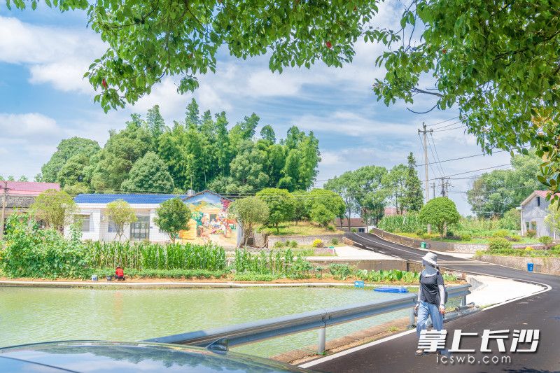 游客漫步乡村道路。
