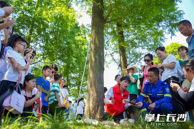 实践教学现场。
