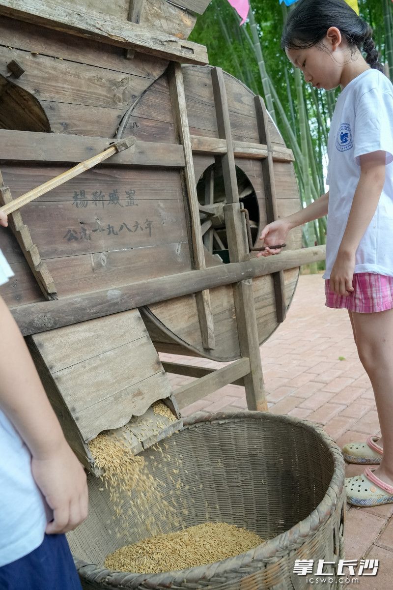 孩子们体验老式农具，学习传统农耕文化