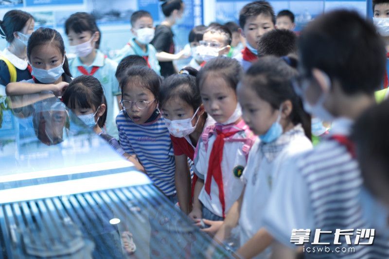 7月17日，在长沙河西的一处红色旅游景点，不少中小学生来此开展暑期社会实践。长沙晚报全媒体记者 刘琦 实习生 黄玲 摄影报道