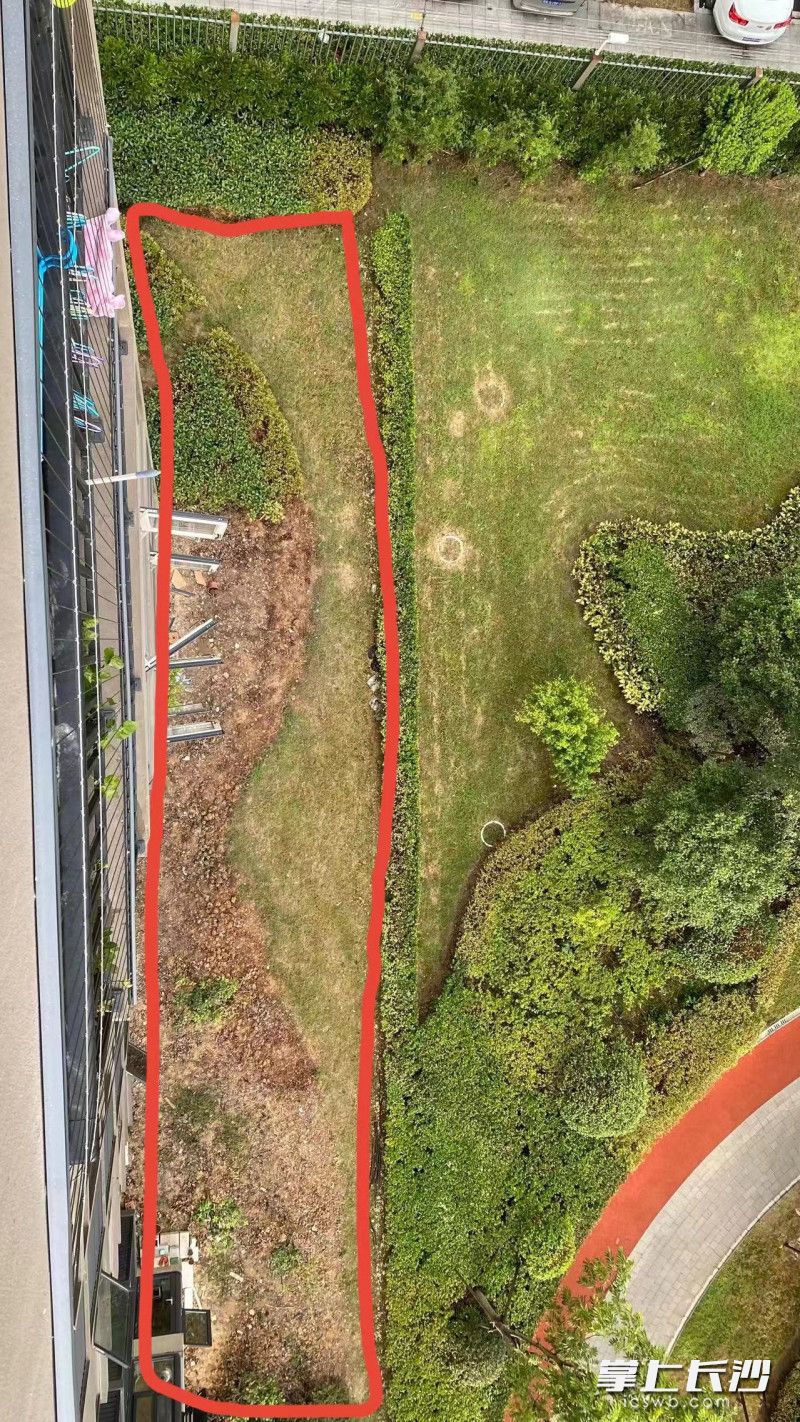 死去灌木拔除后留下的荒地 业主供图