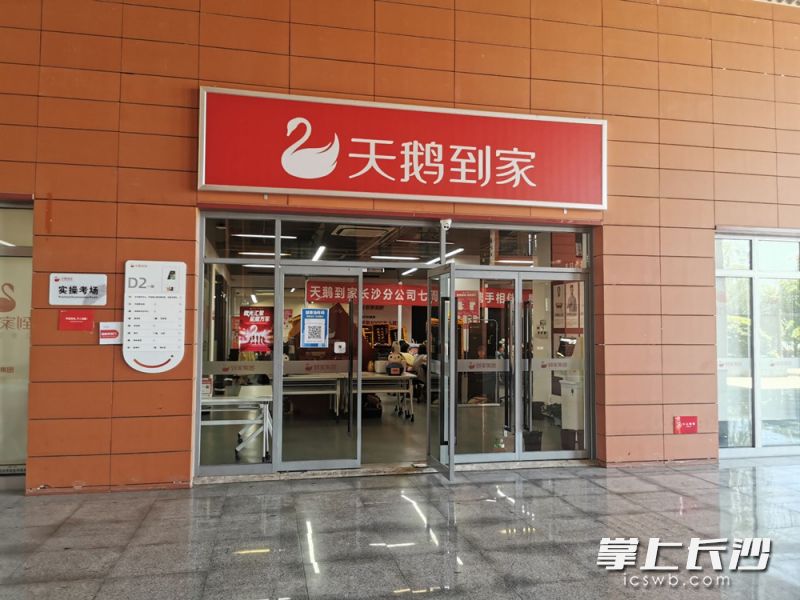 市民黄女士反映，自己在天鹅到家公司聘请了十多天的月嫂服务，家政公司为了衔接下一单客户，提前让该月嫂结束了自己这边的服务。长沙晚报全媒体记者刘树源摄