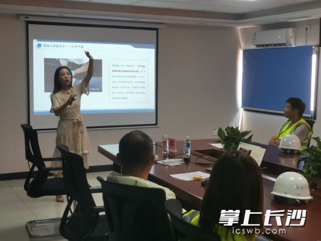 张园正在进行讲座。