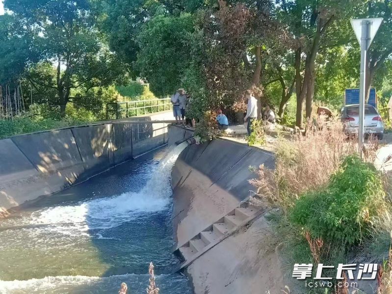 在宁乡市双江口镇双江口社区东风组，沩江水被抽进双清排渠。  均为长沙晚报全媒体记者张禹、通讯员曹卫红摄