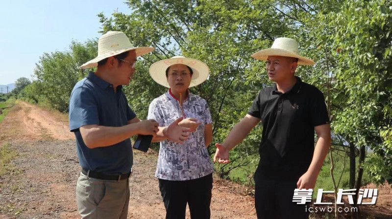 长沙水利局干部、专家到田间指导抗旱工作。