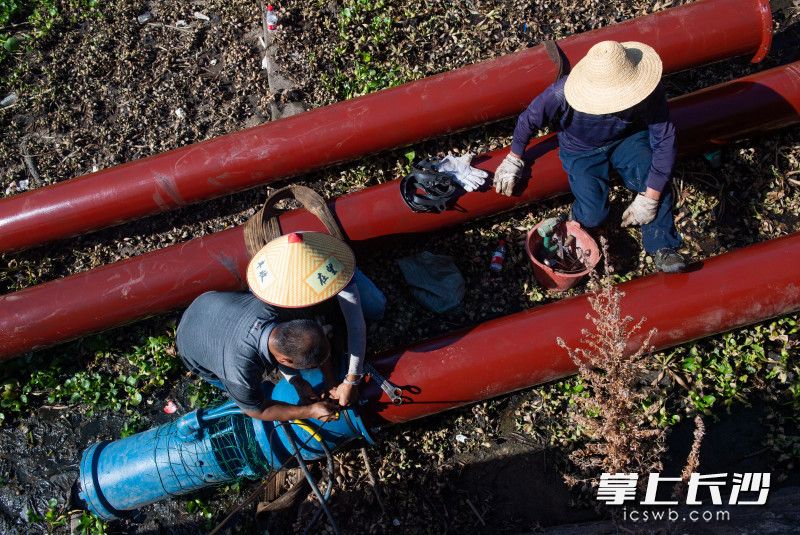 村民正在安装水泵。  均为长沙晚报全媒体记者邹麟摄