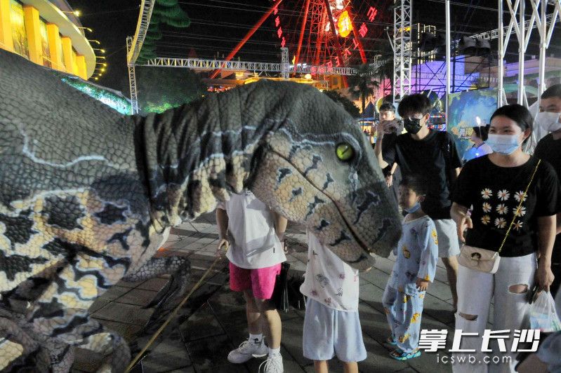 22日晚，长沙世界之窗“了撇夜市”开市。图片均为长沙晚报全媒体记者 贺文兵 摄