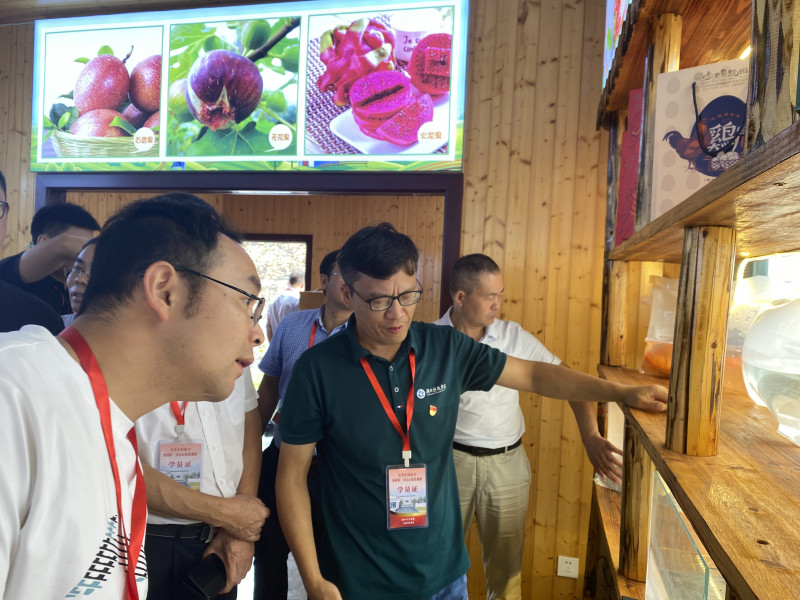 来自全省乡村振兴驻村第一书记示范培训班的学员们走进宁乡市大成桥镇鹊山村，该村丰富的农产品引起大伙的浓厚兴趣。均为长沙晚报全媒体记者 张禹 通讯员 喻恩来 朱佳 摄影报道