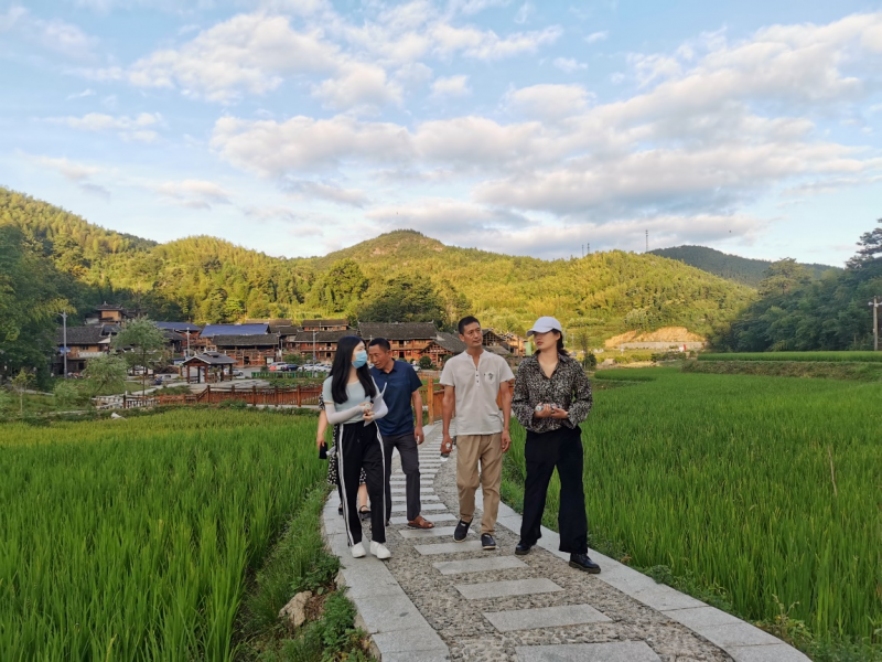 调研团队在崇木凼水稻种植基地参观交流。均为通讯员 供图