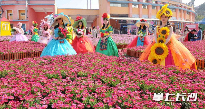 “姐姐的花样年华”季让女人更精彩。