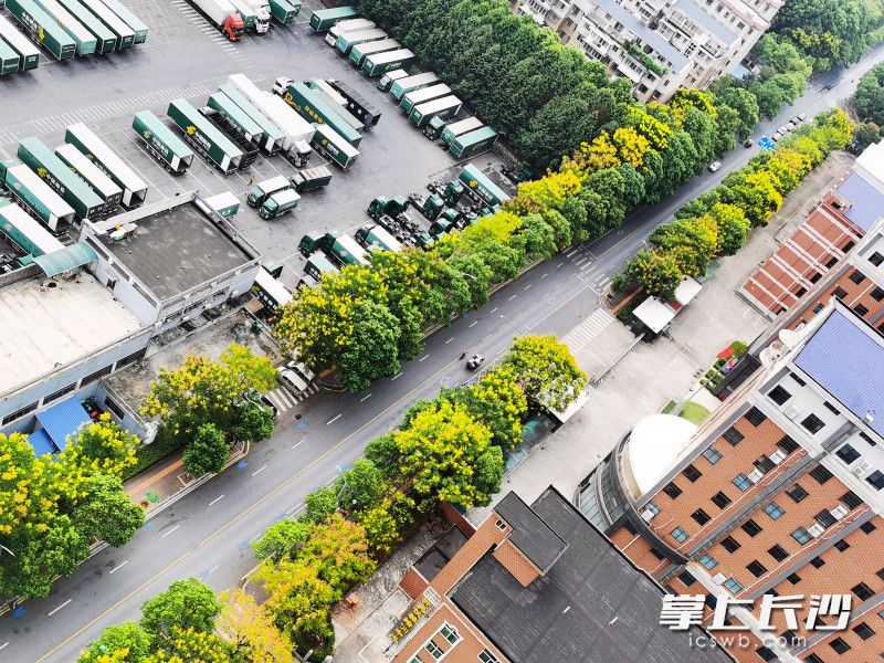 长沙县东一路提质改造完成后，道路更加顺畅。
