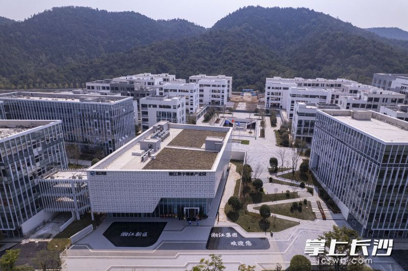长沙健康医疗大数据产业孵化基地位于梅溪湖国际新城二期、象鼻窝森林公园山脚。长沙晚报全媒体记者 郭雨滴 摄