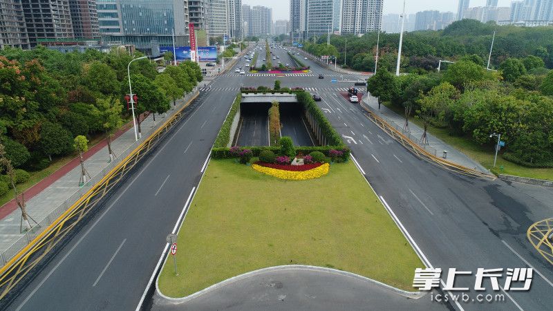 雨花街头150余万盆鲜花喜迎国庆。 均为全媒体记者 周游 通讯员 高兴 摄影报道