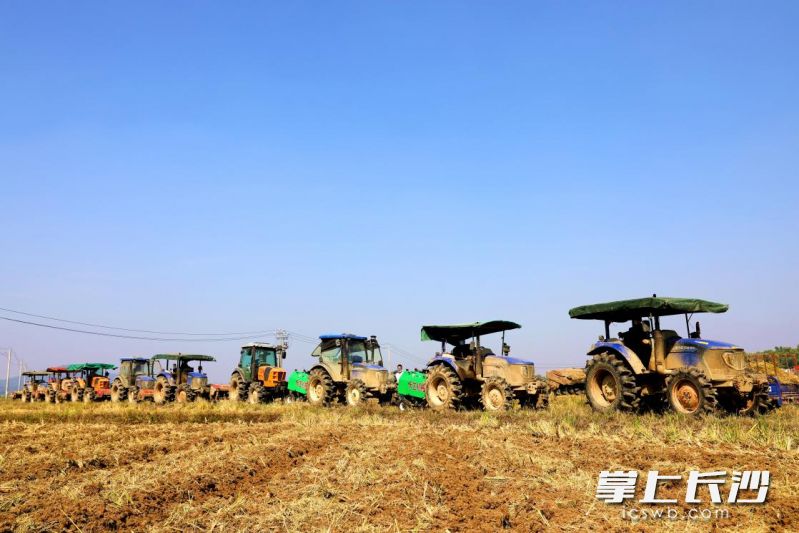 十余台旋耕机集合完毕。