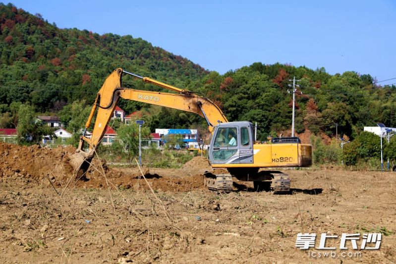 目前全镇已恢复耕地900亩。