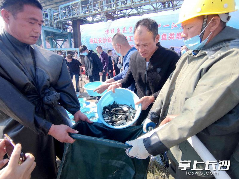 “增殖鱼类资源 守护一江碧水”主题增殖放流活动举行。图片均为长沙晚报全媒体记者 贺文兵 摄 “增殖鱼类资源 守护一江碧水”主题增殖放流活动举行。图片均为长沙晚报全媒体记者 贺文兵 摄