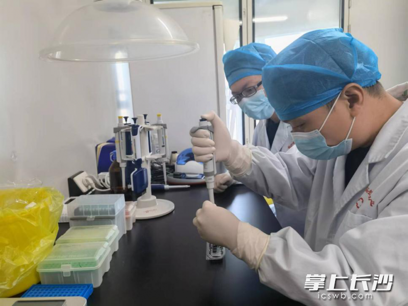长沙市疾控中心基因测序组成员在做测序准备。