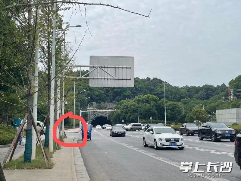 万家丽中路，经常有调头车辆横穿马路进入圭白路（红圈处为入口），绕开天际岭隧道。均为长沙晚报全媒体记者 张洋子 摄