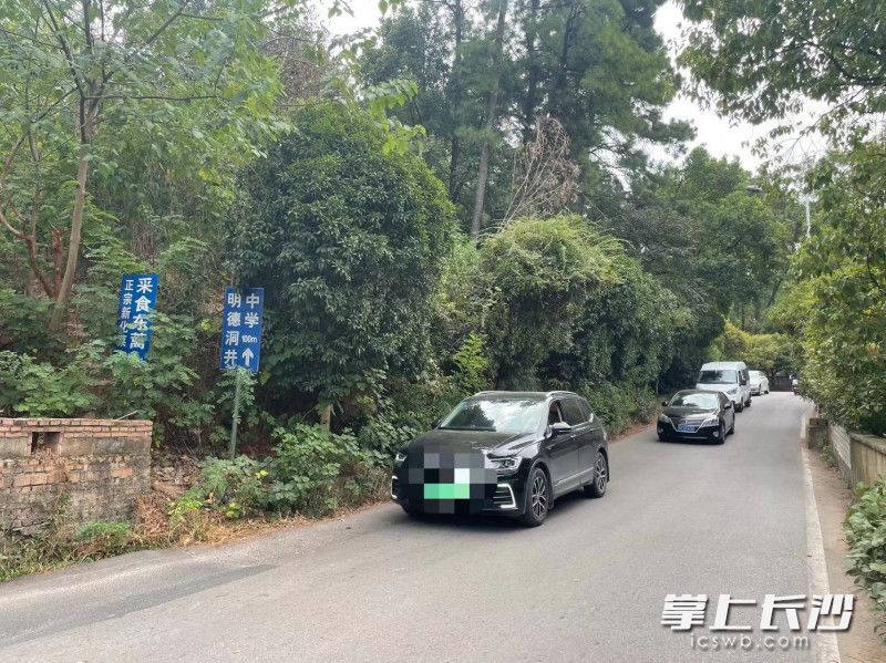 中午非交通高峰时期，但来往圭白路的车辆依旧络绎不绝。