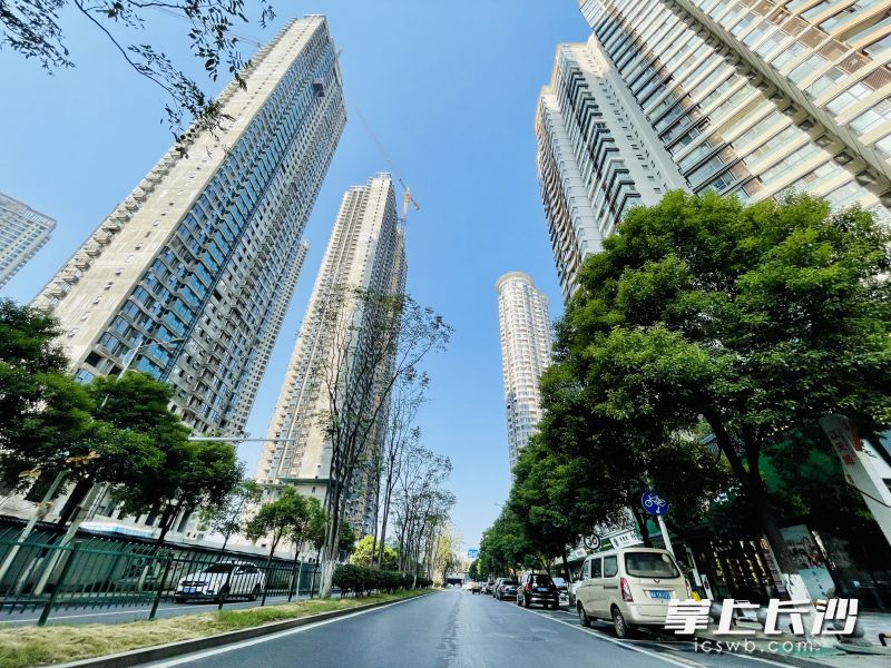 北辰三角洲D3、D4区之间隔着一条车水马龙的江天路，天桥建成后，业主街坊之间走动方便心更近，孩子上学更安全。 长沙晚报全媒体记者 李卓 摄