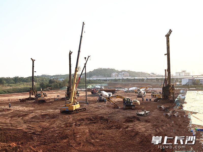 11月15日，湖南普鑫智慧冷链物流园项目正式启动建设。长沙晚报通讯员 高兴 摄