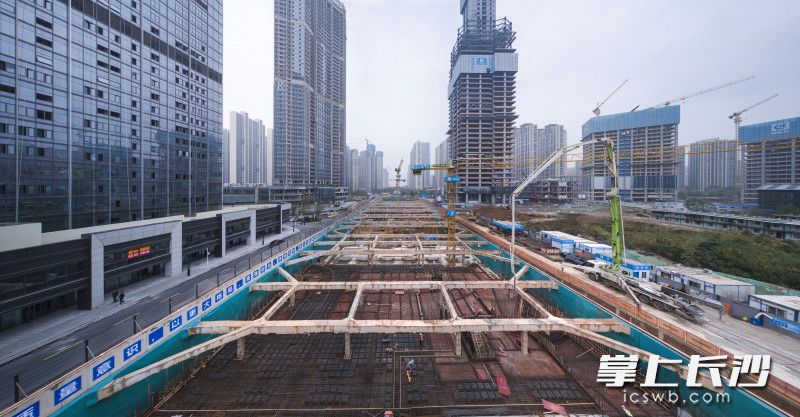 梅溪湖超级中轴项目东段施工现场。长沙晚报全媒体记者 郭雨滴 摄