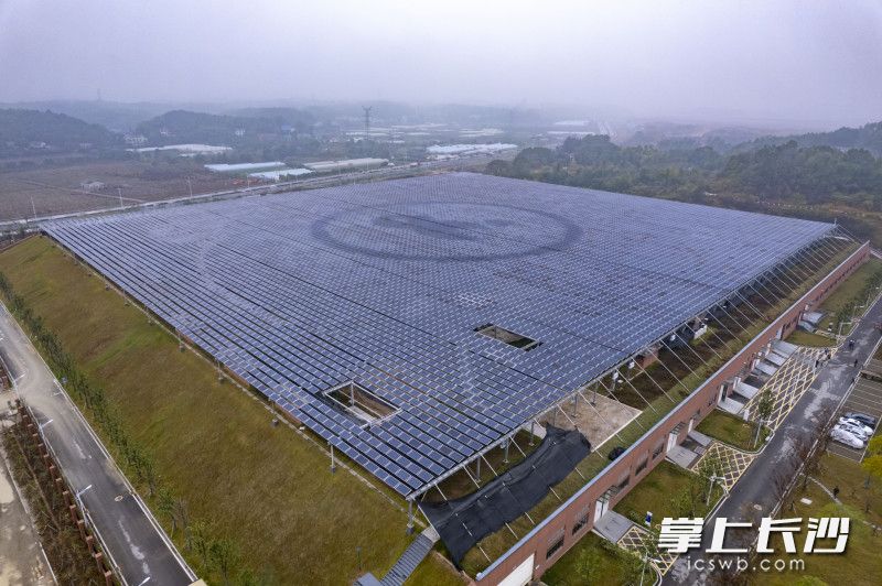 梅溪湖水质净化厂分布式光伏发电项目，位于梅溪湖国际新城。长沙晚报全媒体记者 郭雨滴 摄