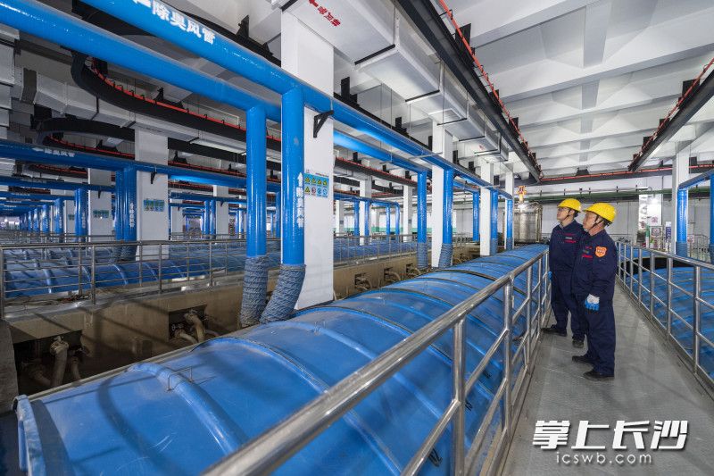 梅溪湖水质净化厂工作人员在膜-生物反应器前查看。长沙晚报全媒体记者 郭雨滴 摄