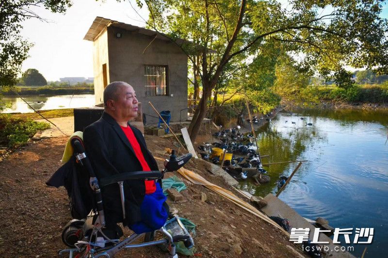 如今，周国民和同村好友一起搞起养殖，可鸭子滞销让他犯了难，希望得到大家的帮助。受访者供图